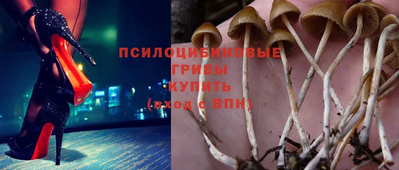 Псилоцибиновые грибы Magic Shrooms  купить наркотик  площадка официальный сайт  Кунгур 